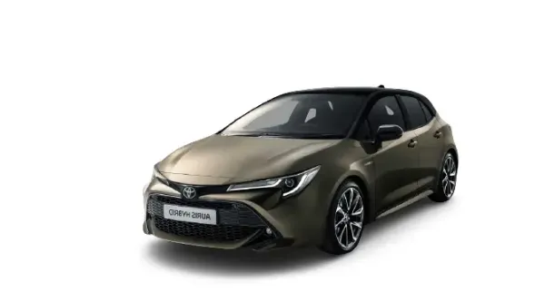 Auris